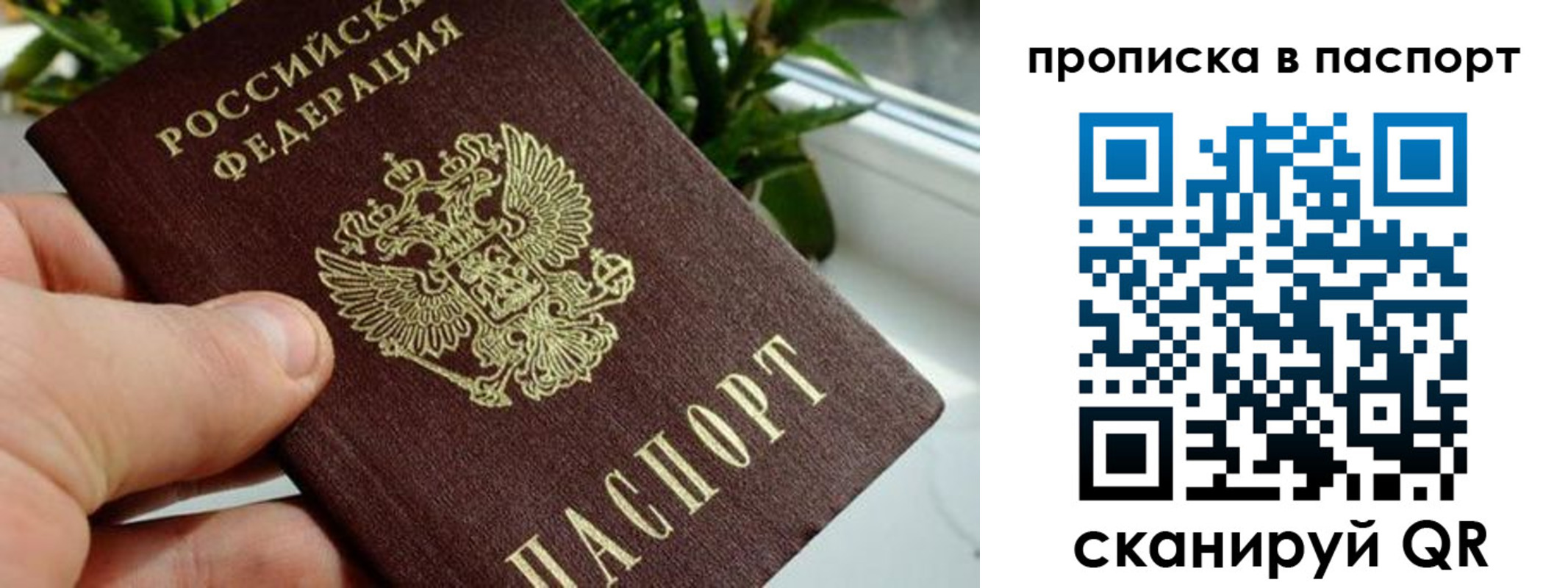 временная регистрация поиск в Родниках